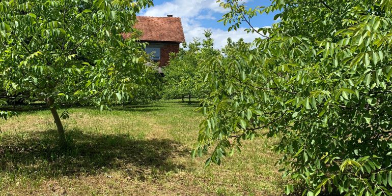 WhatsApp Image 2024-06-06 at 09.42.15 (1)