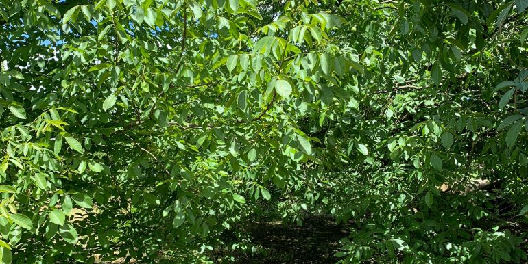 WhatsApp Image 2024-06-06 at 09.42.15