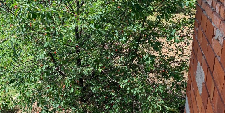 WhatsApp Image 2024-06-06 at 09.42.18