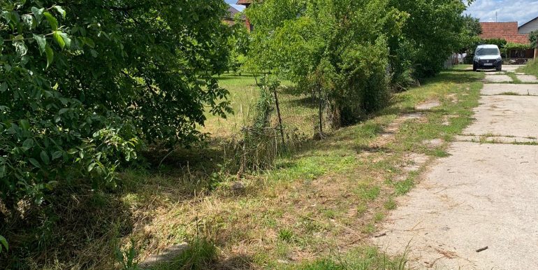 WhatsApp Image 2024-06-06 at 09.42.19 (1)